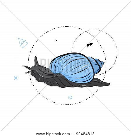 Vector snail with blue shell, slow move . Modern kids card print isolated on white background. Summer nature animal symbol