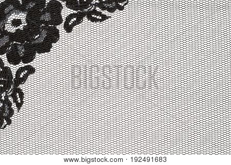 Black lace flowers corner and tulle on white background