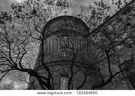 an old castle above a leafless tree
