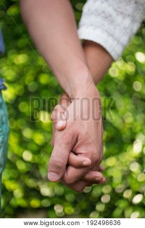 Cropped view of couple holding hands with green leaves wall in background. Front view.