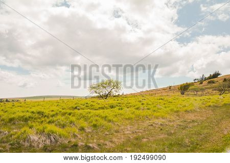 Beautiful landscape mountain view of Utsukushigahara is one of the most important and popular natural place in Nagano Japan.