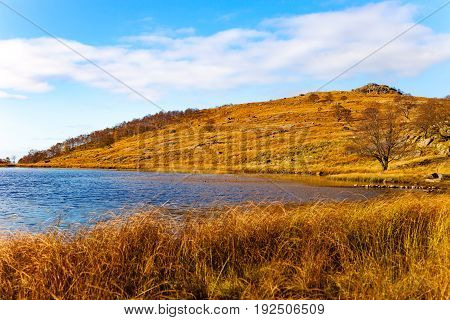 Landscape around Dalsnuten in Rogaland Norway .