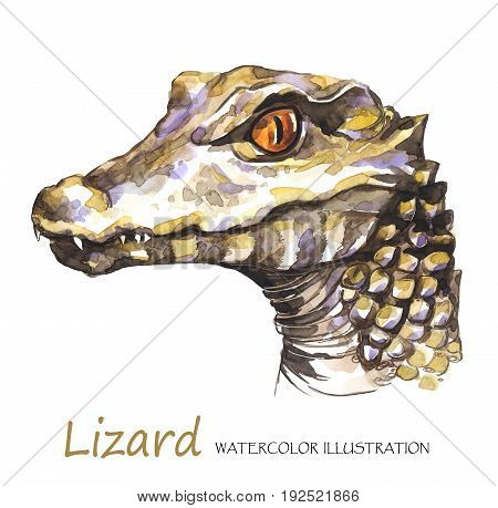 Watercolor Lizard on the white background. Exotic animal. Wildlife art illustration. Can be printed on T-shirts, bags, posters, invitations, cards, phone cases, pillows. Place for your text.