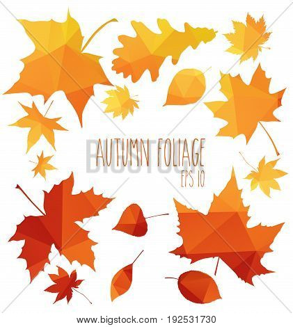 yellow wet autumn leaves on the background a dark old wood