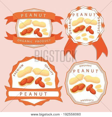 Abstract vector illustration logo whole ripe brown peanut nut, cut sliced, product background.