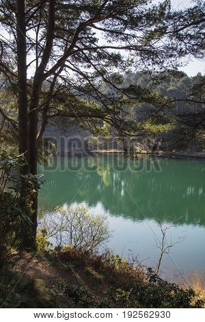 Beautiful Vibrant Landscape Image Of Old Clay Pit Quarry Lake With Unusual Colored Green Water
