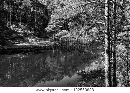 Beautiful Landscape Image Of Old Clay Pit Quarry Lake In Black And White Monochrome