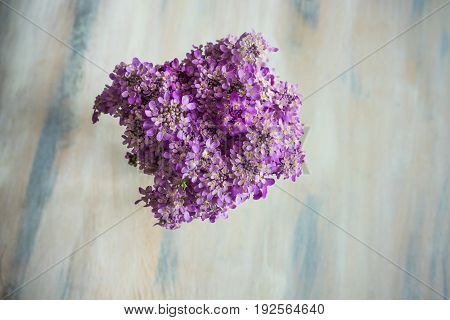 Summer Table Setting