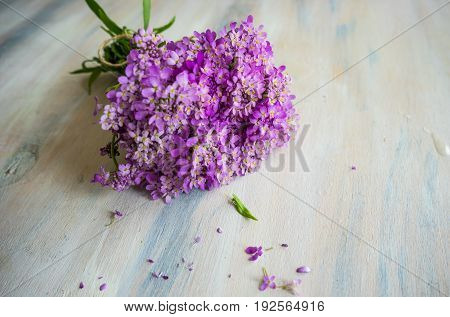 Summer Table Setting
