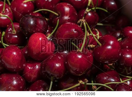 cherry detail macro of delicious fresh ripe red cherries with bright green stem, perfect food background Sweet cherry background