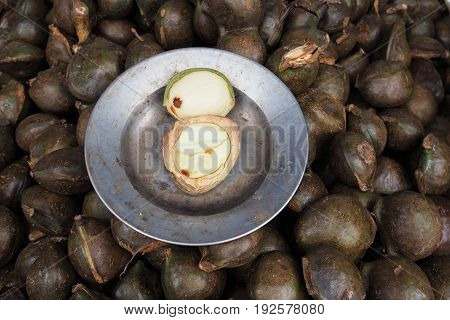 Djenkol bean fruit in local Thailand market Archidendron jiringa seed Djenkol bean Djenkol fruit
