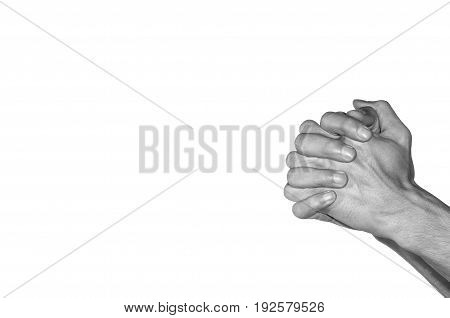 Praying hands. Black and white. Isolated on white background.