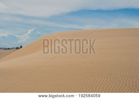 Yellow Sand In The Desert, Vietnam