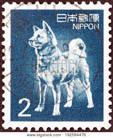 JAPAN - CIRCA 1980: A stamp printed in Japan shows Akita dog, circa 1980.