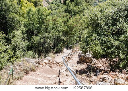 Path  Passing Through A Wooded Slope And Descending To The Amud River