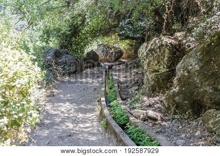 Path passing through a wooded and descending to the Amud River