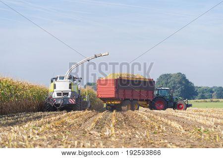 corn being harvested at the end of a long summer
