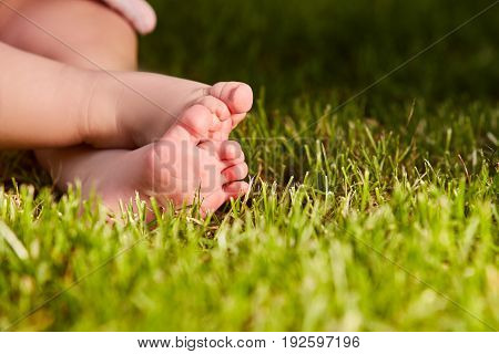 Close up of baby's feet on the green grass on the meadow at warm day. Horizontal croped photo. Small cute feet of liitle child. Concept of the happy babies.