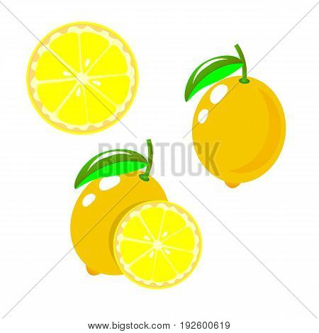 Vector lemon. Set fresh lemon fruits collection of vector illustrations