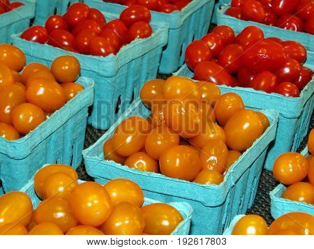 Cherry tomatoes in Markham Canada June 24 2017