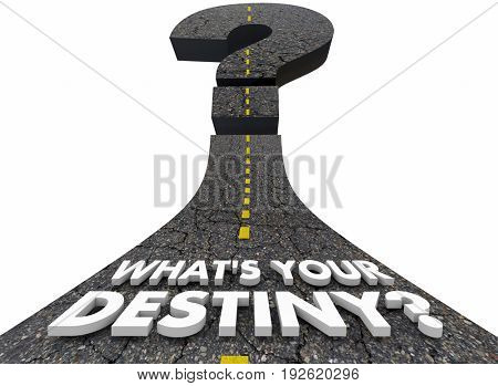 Whats Your Destiny Road Forward Fate Destination 3d Illustration