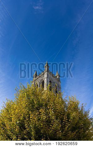 Tower of a church against a blue sky. It protrudes from the tree crown. Honiton. Devon. England