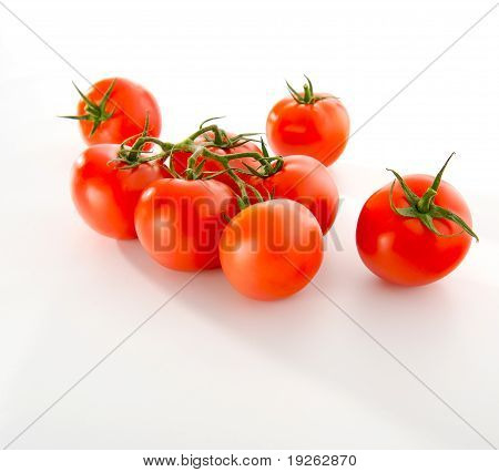 Die Reihe von Tomaten, die isoliert auf weißem Hintergrund