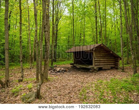 a leanto camping shelter in the adirondack mountains of New York