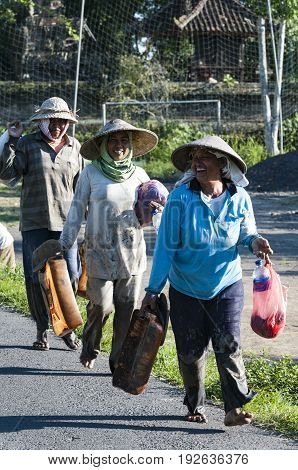Ubud Bali Indonesia - July 29 2013. An unidentified woman works in rice plantation. The process of planting rice by hand. Rice fields in Bali