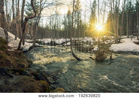 Melting snow in the spring forest.Rough river