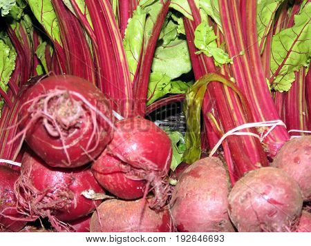 Beet in Markham Canada June 24 2017