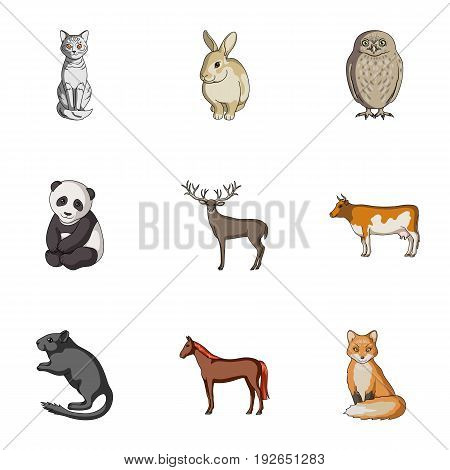 Deer, tiger, cow, cat, rooster, owl and other animal species.Animals set collection icons in cartoon style vector symbol stock illustration .