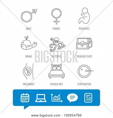 Fertilization, pregnancy and pediatrics icons. Baby child, whale and octopus linear signs. Treasure chest, double bed icons. Report file, Graph chart and Chat speech bubble signs. Vector