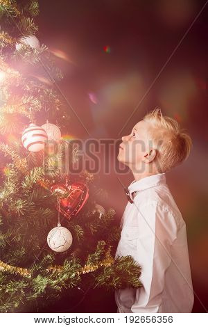 Little Boy Celebrating The Magic Of Christmas