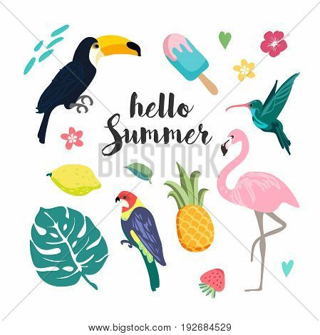 Summer design elements. Set tropical paradise vector