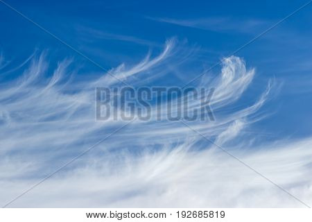 Background of a fragment of the sky with cirrus clouds in summer day