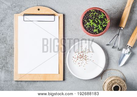 Sprouts In A Pot, Seeds And Garden Tools On A Gray Concrete Background