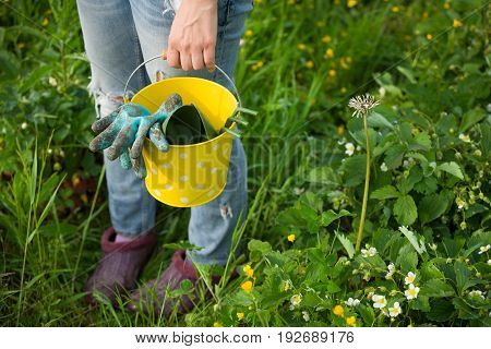 Closeup of woman's hands in gardening gloves holding metal bucket with garden tools: spade and rake. Working in the gaden planting. Lifestyle.