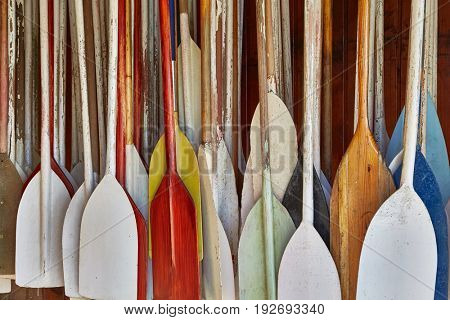 Many canoe paddles hanging in a shed