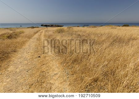 Landscape In Summer In Tabarca Island.
