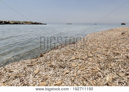 Landscape In Summer In Tabarca Island.