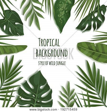 Vector frame of tropical leaves. Trendy summer tropical concept. Style of wild jungle. Background for the design of invitations greeting cards etc.