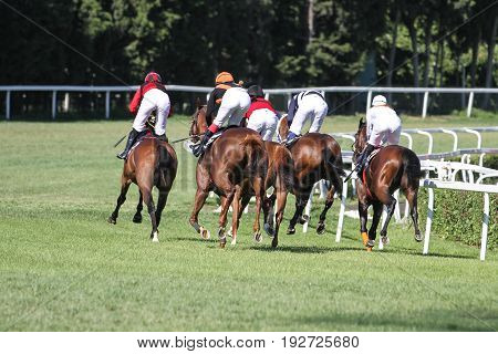 Istanbul Horse Race