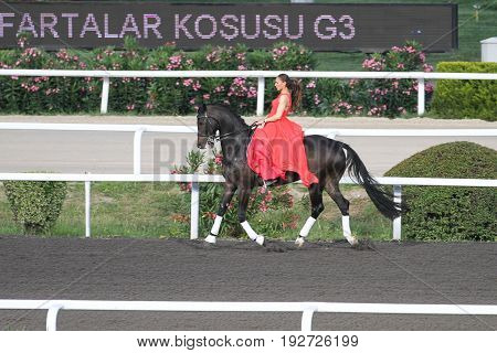 Istanbul Horse Race