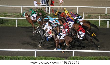 Istanbul Horse Race