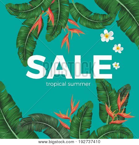 Sale tropical summer poster with green leaves and exotic yellow and white flowers vector illustration. Banner proclaiming reduction of prices