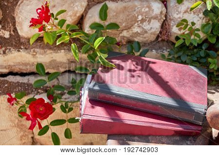 Two vintage books with flowers and stone wall background