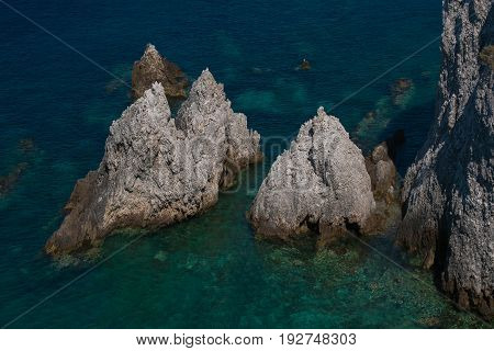 Wild nature: i pagliai of Tremiti islands in Puglia, Italy