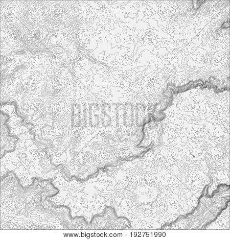Topographic map background concept with space for your copy. Topo contour map background, vector