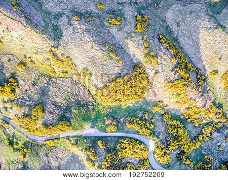 Aerial view of scottish single track road with passing places broom on a moor in the highlands, uk